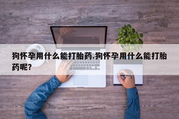 米非司酮片米索前列醇片网店在线购买狗怀孕用什么能打胎药.狗怀孕用什么能打胎药呢？