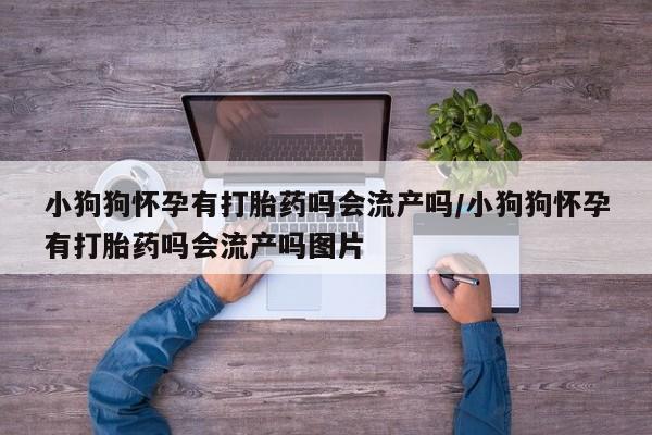 米非司酮片米索前列醇片网店在线购买小狗狗怀孕有打胎药吗会流产吗/小狗狗怀孕有打胎药吗会流产吗图片
