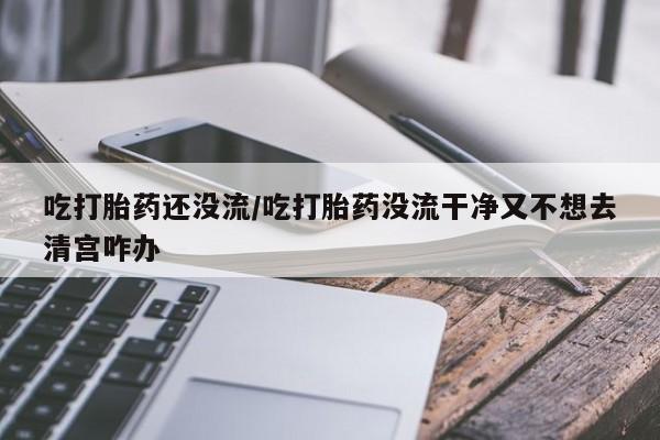 米非司酮片米索前列醇片网店在线购买吃打胎药还没流/吃打胎药没流干净又不想去清宫咋办
