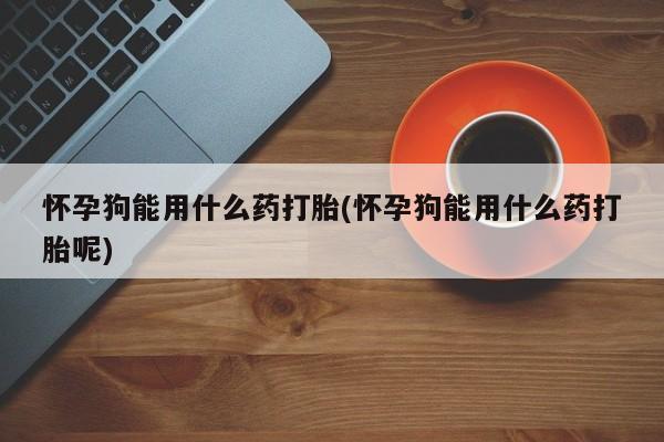 米非司酮片米索前列醇片网店在线购买怀孕狗能用什么药打胎(怀孕狗能用什么药打胎呢)