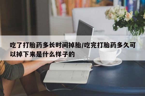 米非司酮片米索前列醇片网店在线购买吃了打胎药多长时间掉胎/吃完打胎药多久可以掉下来是什么样子的